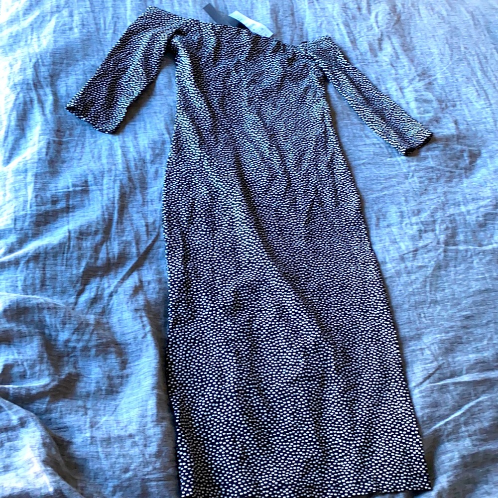 Zara polka dot dress